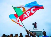 Confusion Erupts as APC House Primaries Unfold in Ondo State