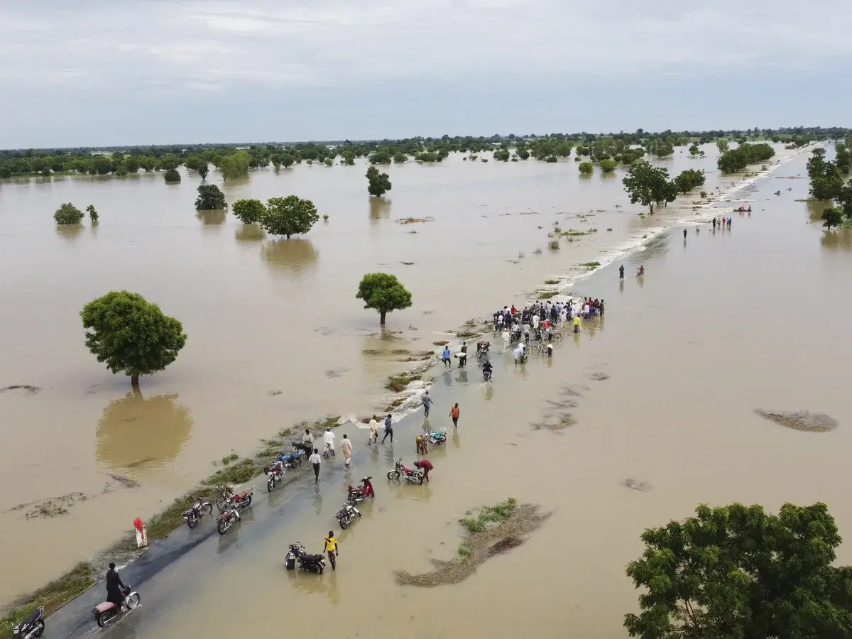 Governments of Yobe, Adamawa, Borno Launch Urgent Flood Response Plans