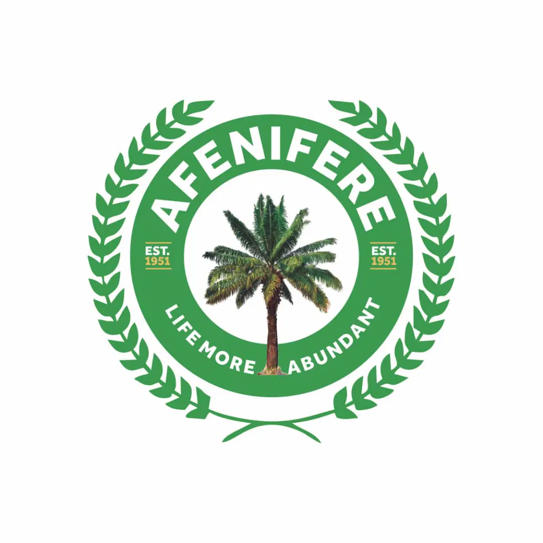 Afenifere Warns: Delayed State Police Could Ignite Ethnic Conflicts in Nigeria