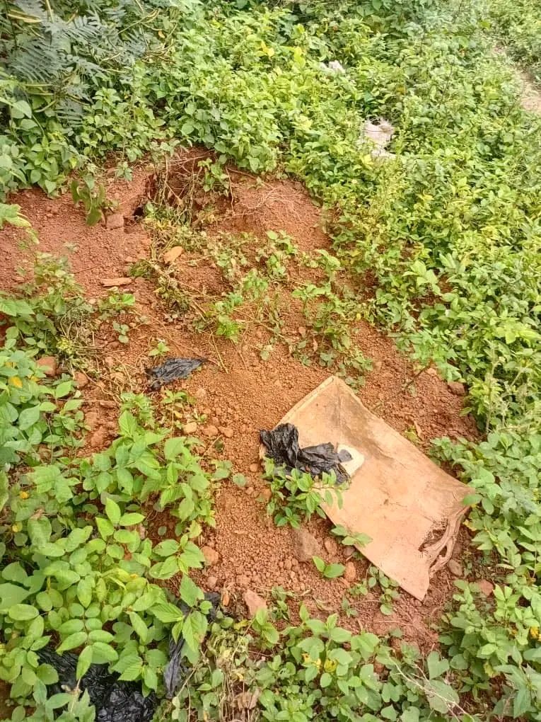 Osun Police Arrest Man Over Alleged Possession of Human Skull, Launch Manhunt for Accomplice